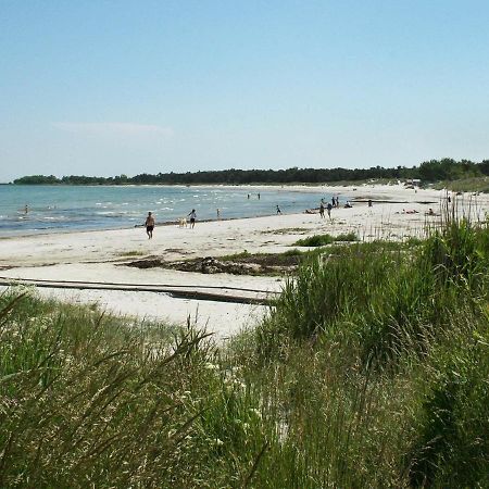 4 Person Holiday Home In Nex Balke Eksteriør bilde
